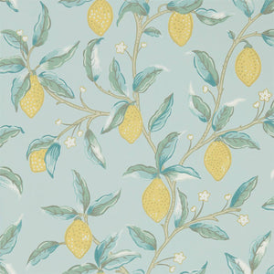 Lemon Tree Wallpaper
